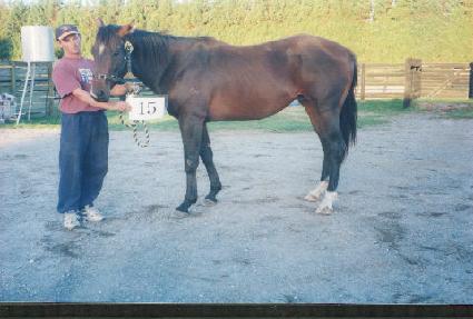 ����ī������� ����