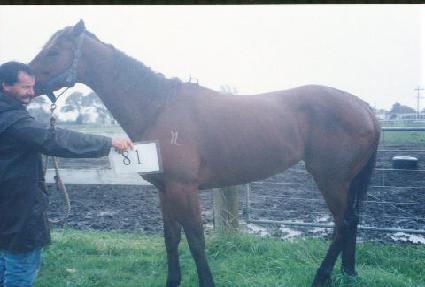 ���´� ����