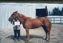 �������� (HYGEIA) ����