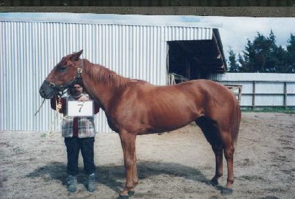 �������� ����