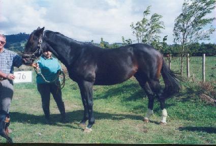 �ؼ��� ����