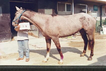 ���ǵ帲 ����