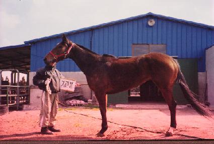 �⸰�� ����