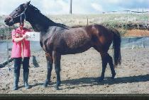 ��յ��� (CHAERONGDUNG-I) ����