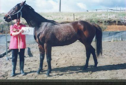 ��յ��� ����