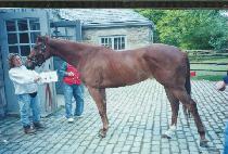 Ƽ���̽����� (T. J.��S BOOTJACK) ����
