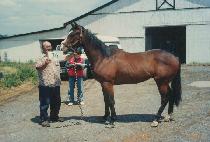 �ô��� (CEDAROO) ����