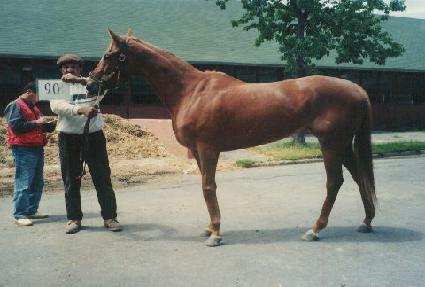 �������� ����