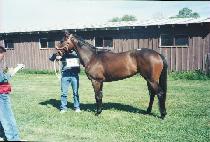 ��ť�׷��̽õ�� (THANKYOUGRACIEDEAR) ����