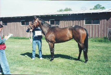 ��ť�׷��̽õ�� ����