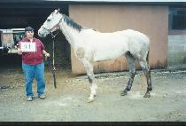 ���ź귡�� (DANCIN BRASS) ����