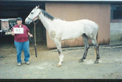 ���ź귡�� ����