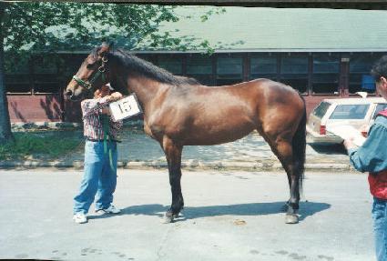 �����̽ÿ����� ����