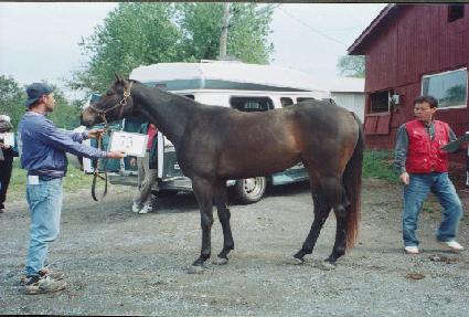 ���ǽ�Ʈ�� ����