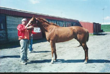 �������� ����