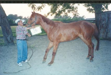 ũ����Ƽ����� ����