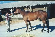 ����ŷ��Ʈ�� (TAKING CONTROL) ����