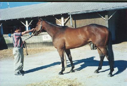 ����ŷ��Ʈ�� ����