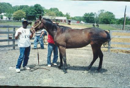 �������� ����