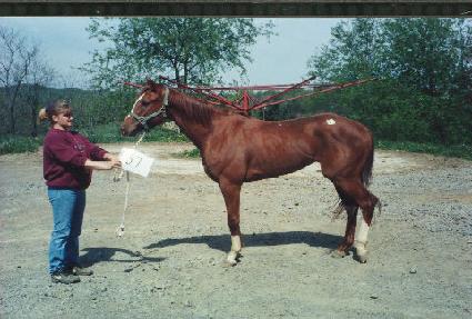 ��󴺽��� ����