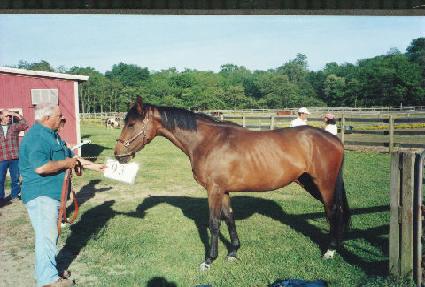 ���ϸ����ϸ� ����