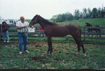 �������̴����� (VERIFY THE FUNDS) ����