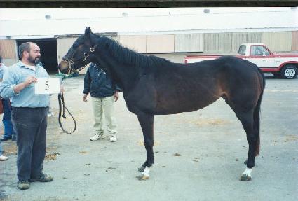 �µ���� ����