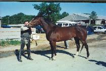 �����ð���Ÿ (LYRICAL GANGSTA) ����