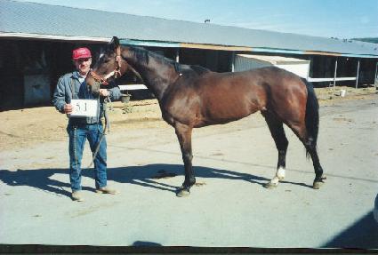 Ʈ���κ���̾� ����