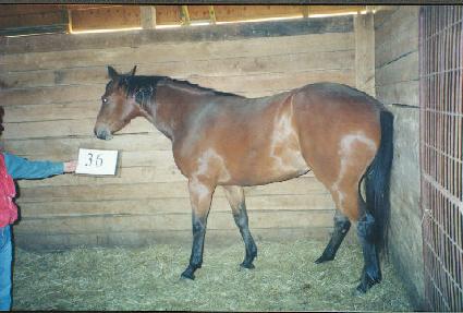 ĳ�͸������� ����