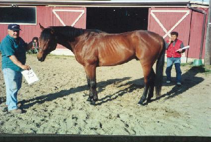 ��Ŀ�� ����