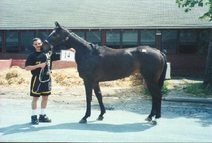 ��������� ����