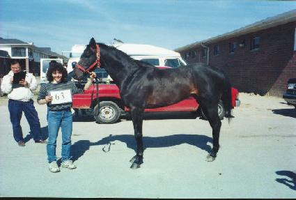 ���ۺ���ũ�� ����