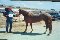 ������ũ���̾� (MY PINK DIAMOND) ����