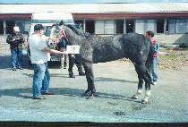 ��ĳ���� (THE CHARACTER) ����