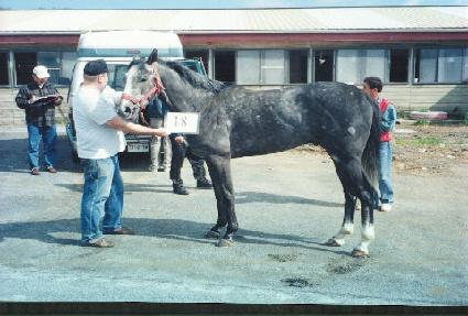 ��ĳ���� ����