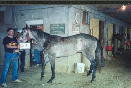 ���������丮�� ����