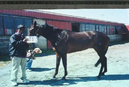 ������ĳ�� ����