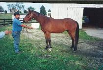 ����Ʈ��ī�� (LIGHT THE CARDS) ����