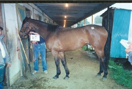 ������ ����