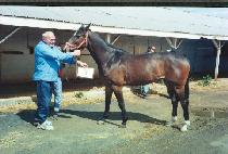 ����ӳʻ췯�� (OSMONOSOLOGY) ����