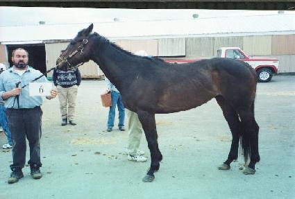 Ž���ƿ�ĸƾ ����