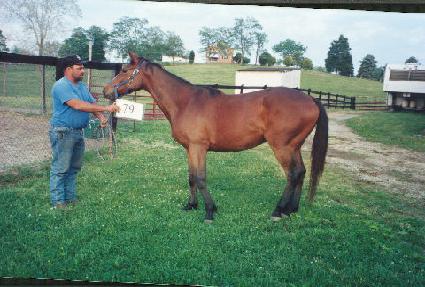 Ÿ�̰ſ´����� ����