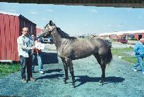 ����Ʈ��Ŀ (LITE TALKER) ����