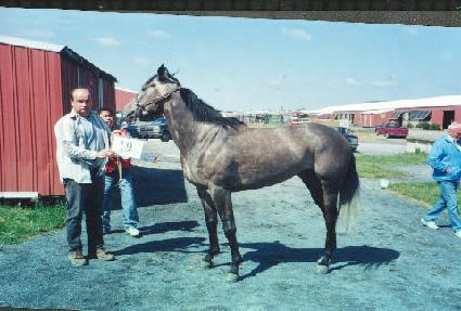 ����Ʈ��Ŀ ����