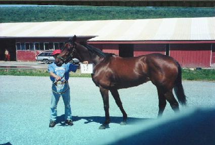 ���̵���Ÿ�� ����