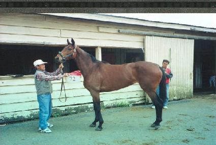 ����������� ����