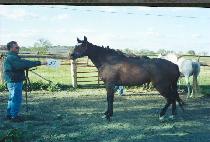 �����̽Ǻ�� (SUNDAY SYLVIA) ����