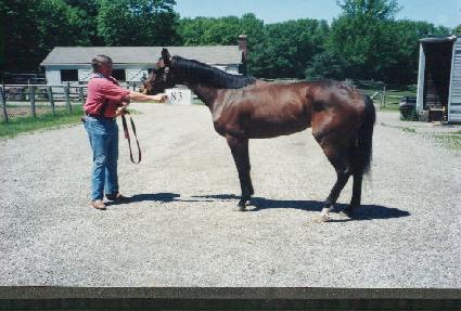 ������ ����