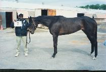 �����÷��� (MS. FLOW TECH) ����